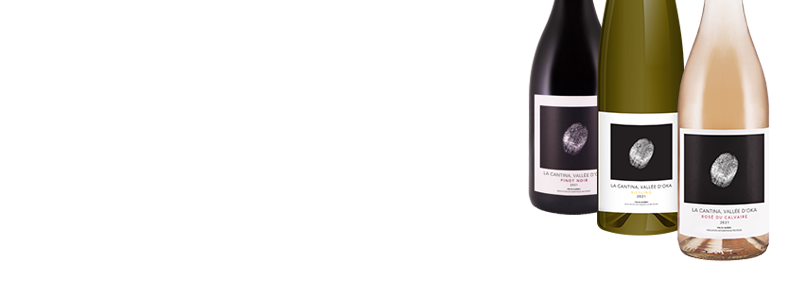 Vignoble Rivière du Chêne Le Rosé Gabrielle 2022, Fiche produit