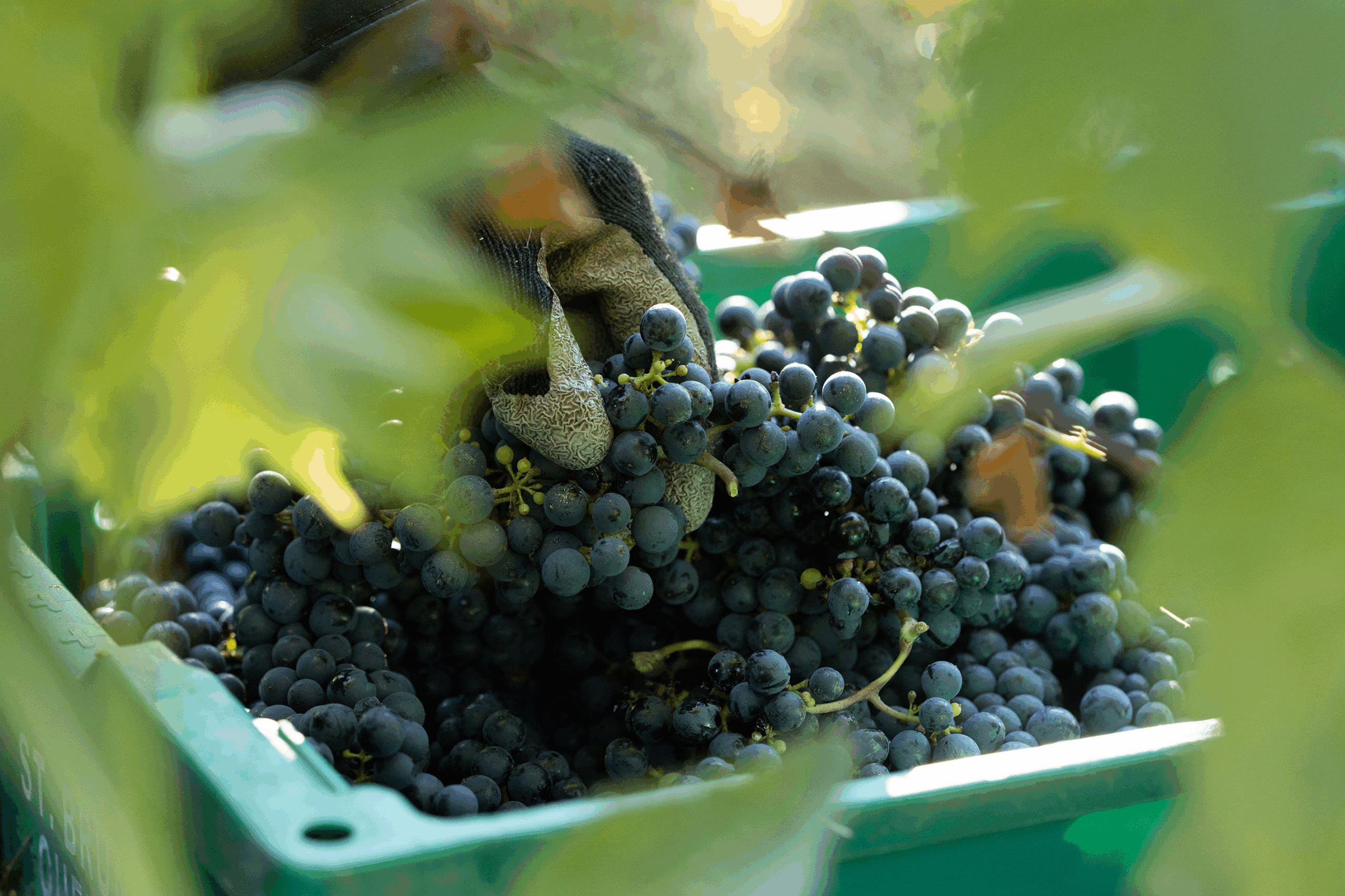 Ajustement de nos tarifs à compter du 3 novembre 2025