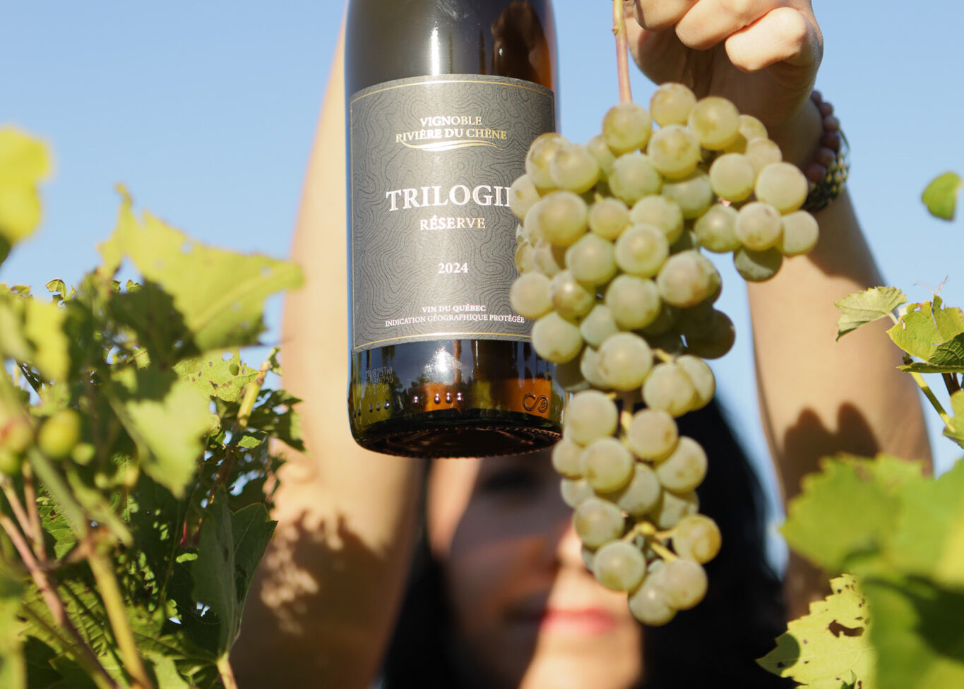 Nouveauté : Trilogie Réserve 2024