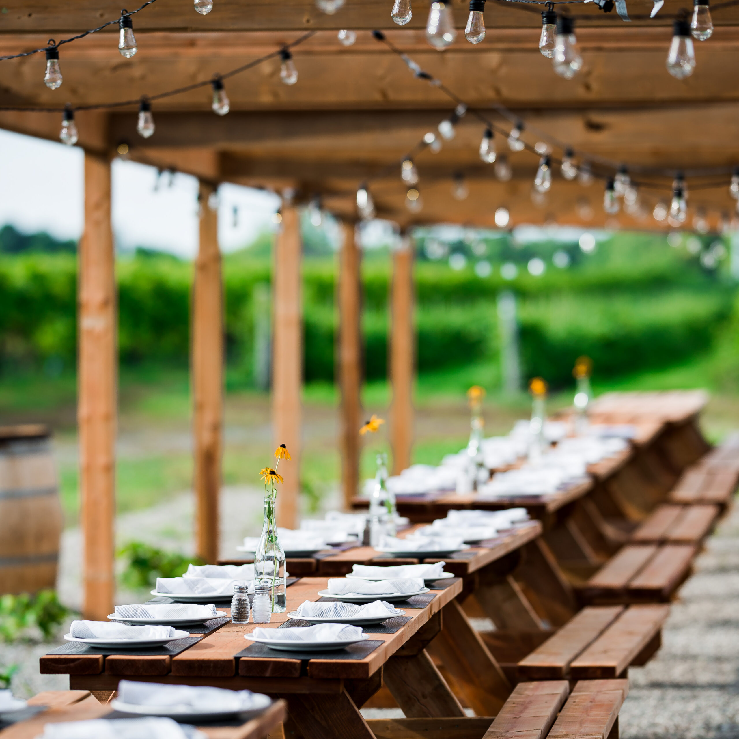 Table Soir
